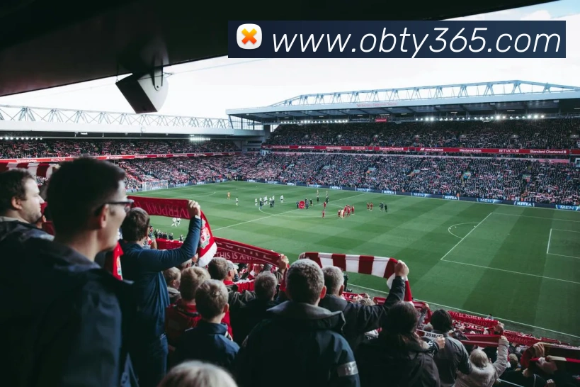 ob欧宝官网平台生态图