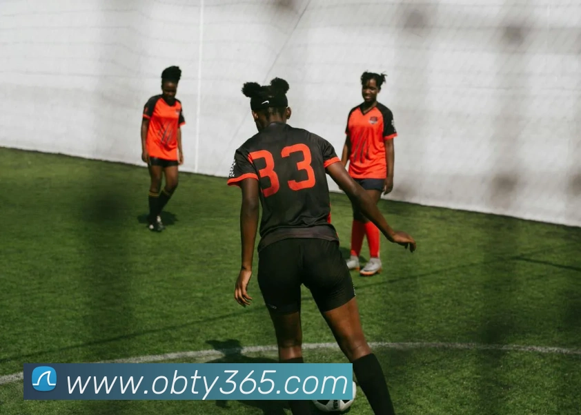 ob欧宝官网APP 封面图